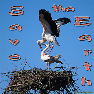 Save_The_Earth_mimipet.com